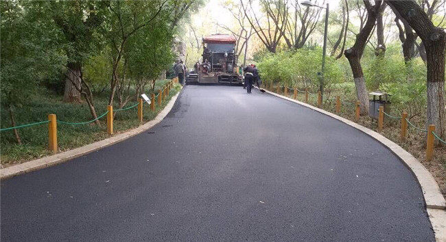 �ڲ�tengbo988-����Ϊ��רҵ����