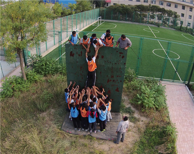 �ڲ�tengbo988-����Ϊ��רҵ����