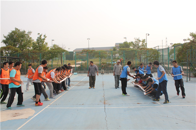 �ڲ�tengbo988-����Ϊ��רҵ����