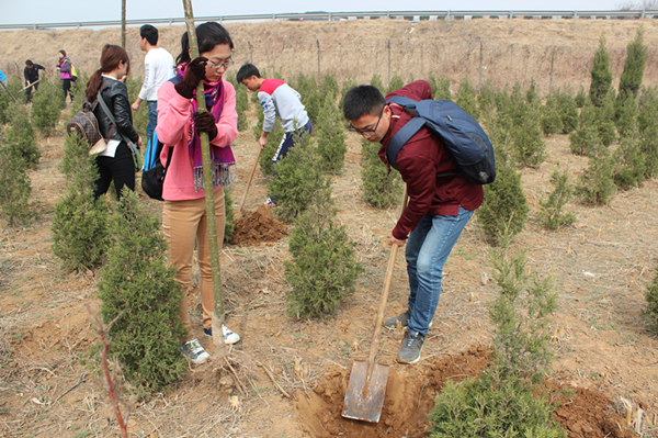 �ڲ�tengbo988-����Ϊ��רҵ����