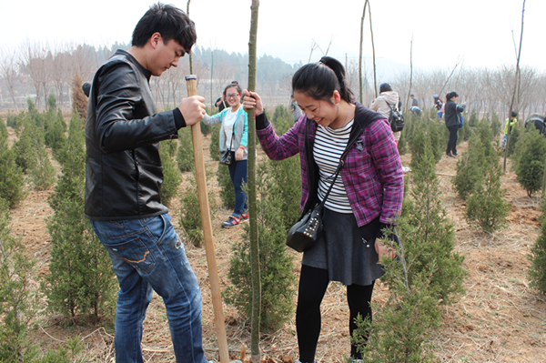 �ڲ�tengbo988-����Ϊ��רҵ����