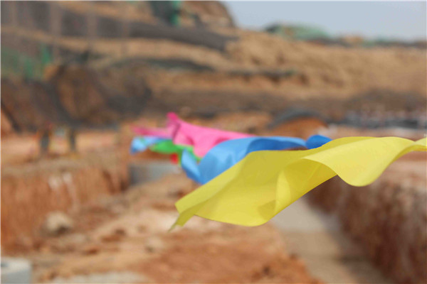 �ڲ�tengbo988-����Ϊ��רҵ����