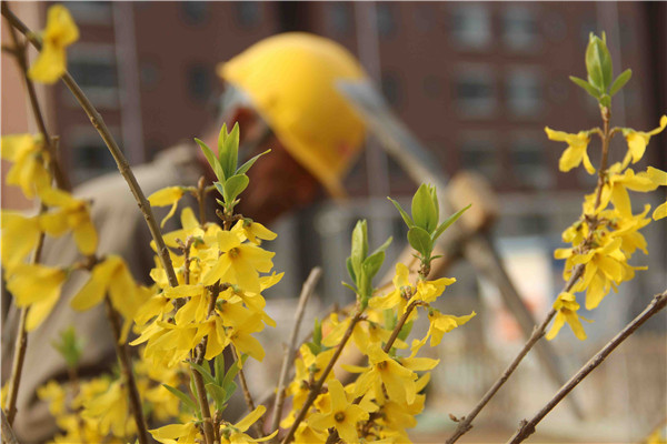 �ڲ�tengbo988-����Ϊ��רҵ����