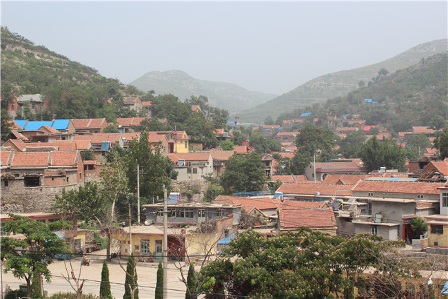 �ڲ�tengbo988-����Ϊ��רҵ����