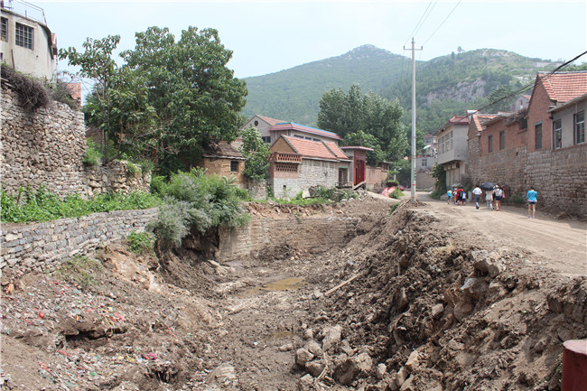 �ڲ�tengbo988-����Ϊ��רҵ����