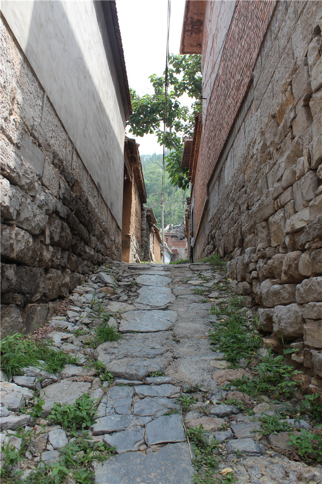 �ڲ�tengbo988-����Ϊ��רҵ����