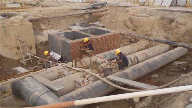 �ڲ�tengbo988-����Ϊ��רҵ����