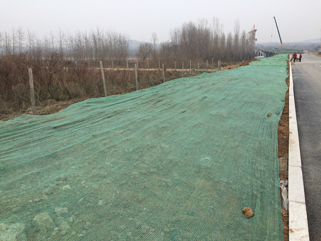 �ڲ�tengbo988-����Ϊ��רҵ����